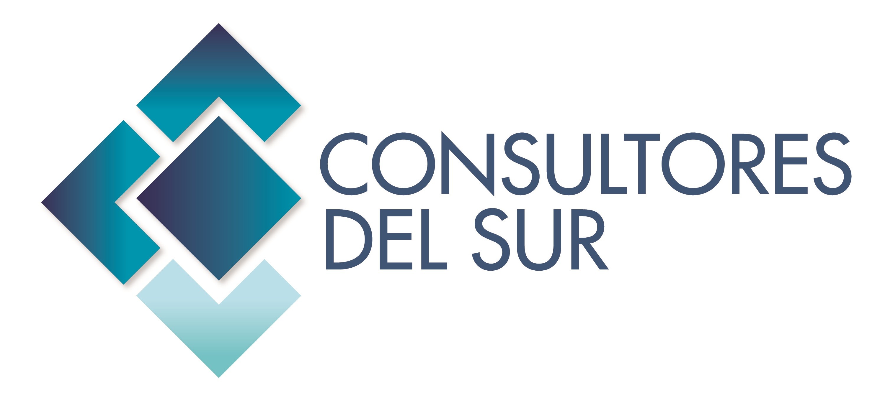 CONSULTORES DEL SUR